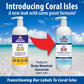 Bulk Quart SPF 50 Sunscreen Lotion with Pump